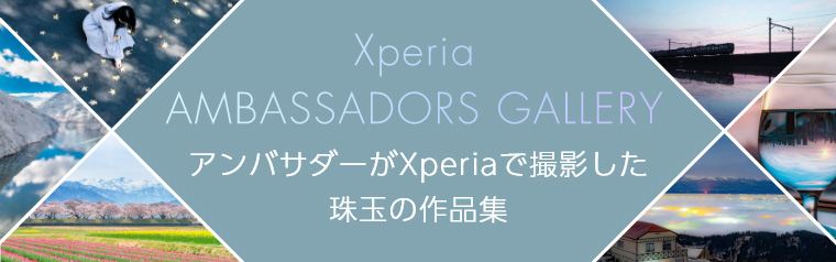 Xperia AMBASSADORS GALLERY アンバサダーがXperiaで撮影した珠玉の作品集
