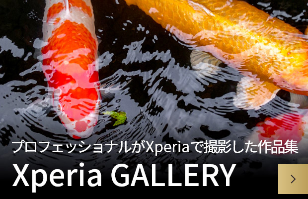 プロフェッショナルがXperiaで撮影した作品集 Xperia GALLERY