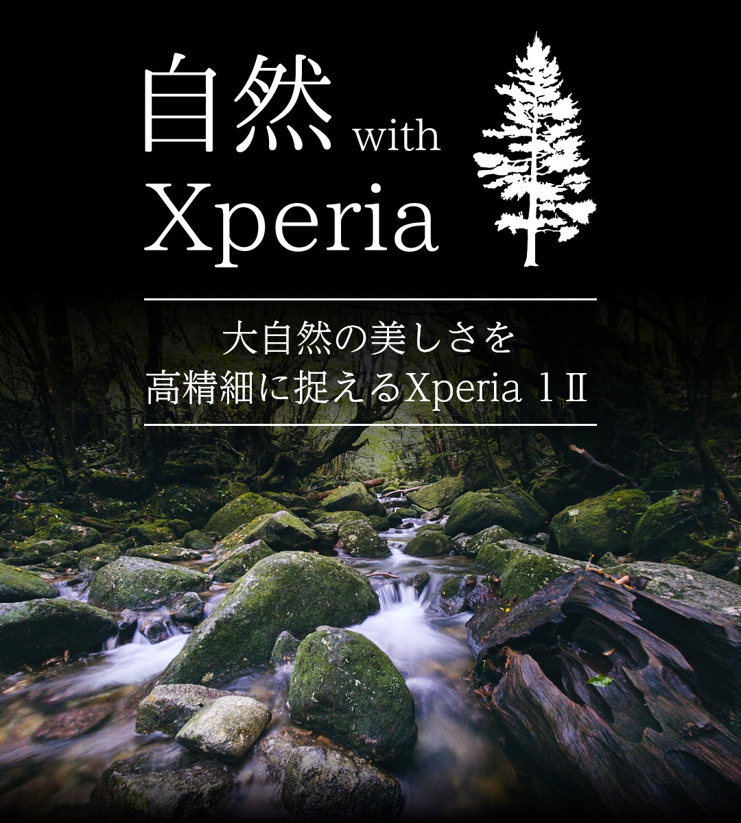 自然 with Xperia 大自然のダイナミズムを高精細に捉えるXperia 1 II