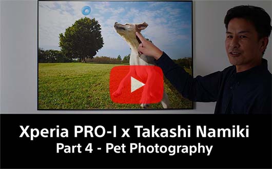 Xperia PRO-I × Takashi Namiki Nature Part 4 - Pet photography